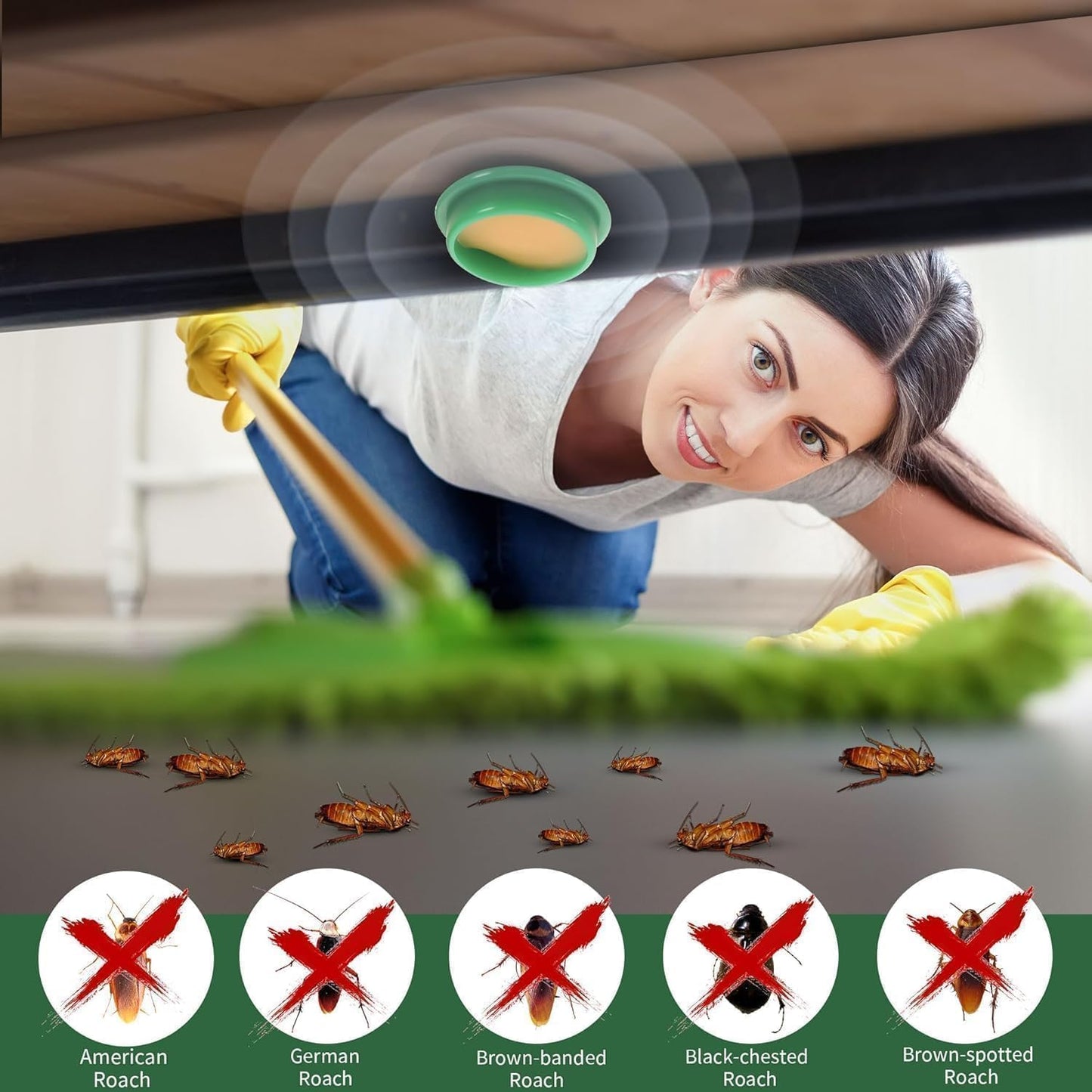 Cockroach Killer Gel (Pack of 2) 24 PCS